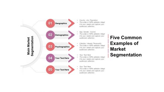 Five Common Examples Of Market Segmentation Ppt PowerPoint Presentation Professional Graphics Pictures PDF