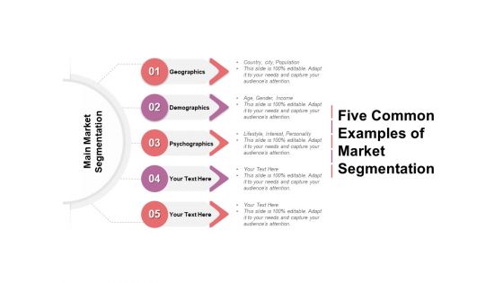 Five Common Examples Of Market Segmentation Ppt PowerPoint Presentation Professional Graphics Pictures PDF