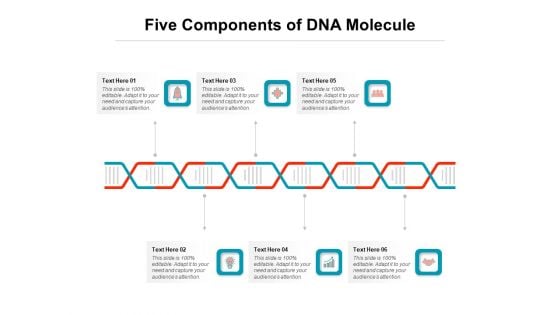 Five Components Of DNA Molecule Ppt PowerPoint Presentation Summary Show PDF