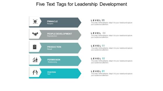 Five Text Tags For Leadership Development Ppt PowerPoint Presentation File Vector