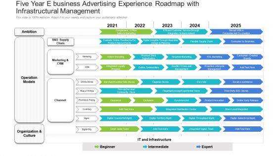 Five Year E Business Advertising Experience Roadmap With Infrastructural Management Introduction
