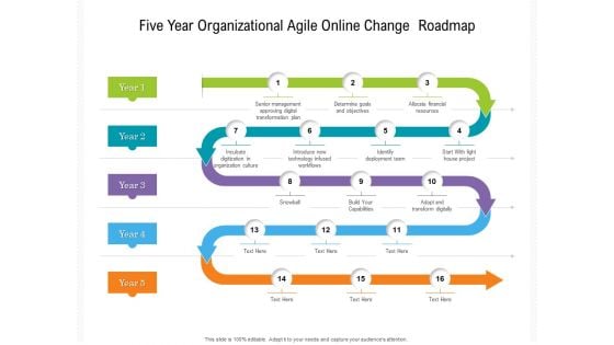 Five Year Organizational Agile Online Change Roadmap Professional