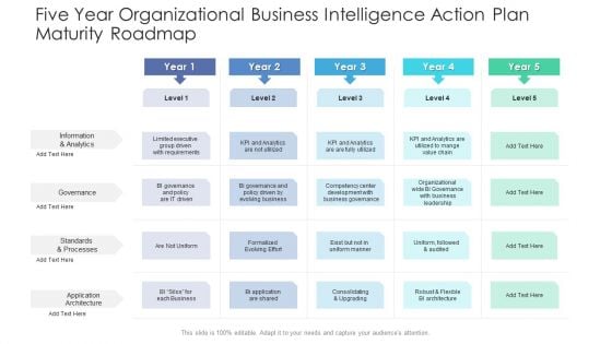 Five Year Organizational Business Intelligence Action Plan Maturity Roadmap Ideas