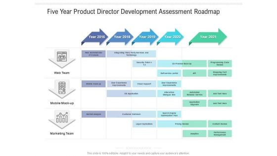 Five Year Product Director Development Assessment Roadmap Diagrams