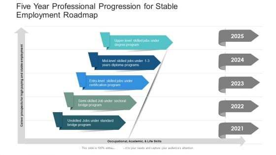 Five Year Professional Progression For Stable Employment Roadmap Template