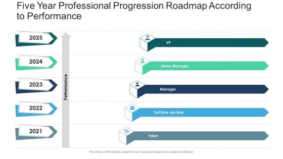 Five Year Professional Progression Roadmap According To Performance Portrait
