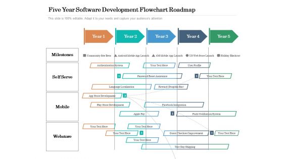 Five Year Software Development Flowchart Roadmap Mockup