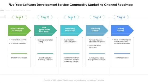 Five Year Software Development Service Commodity Marketing Channel Roadmap Portrait