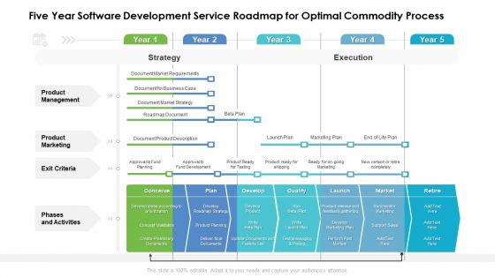 Five Year Software Development Service Roadmap For Optimal Commodity Process Sample