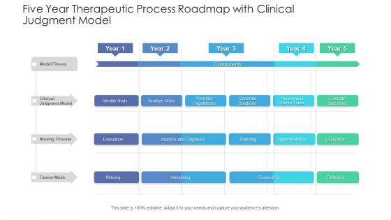 Five Year Therapeutic Process Roadmap With Clinical Judgment Model Professional