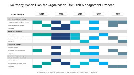 Five Yearly Action Plan For Organization Unit Risk Management Process Download