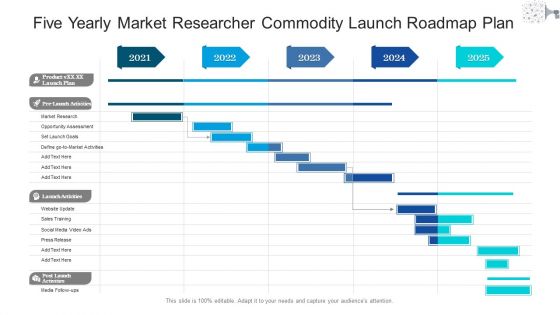 Five Yearly Market Researcher Commodity Launch Roadmap Plan Pictures Five Yearly Market Researcher Commodity Launch Roadmap Plan Pictures
