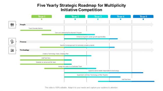 Five Yearly Strategic Roadmap For Multiplicity Initiative Competition Structure