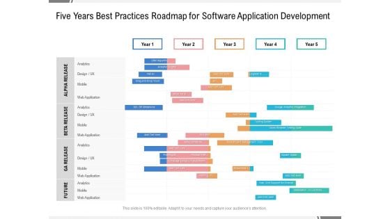 Five Years Best Practices Roadmap For Software Application Development Sample