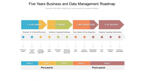 Five Years Business And Data Management Roadmap Background