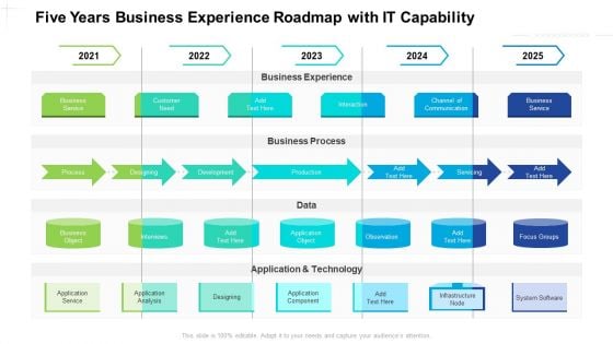 Five Years Business Experience Roadmap With IT Capability Pictures