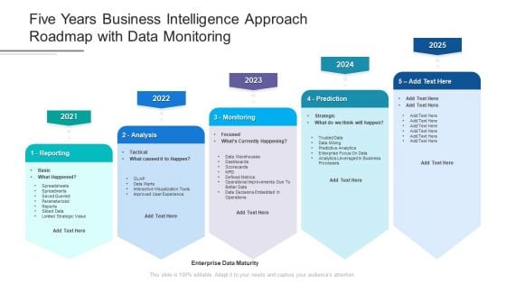 Five Years Business Intelligence Approach Roadmap With Data Monitoring Professional