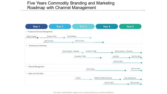 Five Years Commodity Branding And Marketing Roadmap With Channel Management Download Five Years Commodity Branding And Marketing Roadmap With Channel Management Download