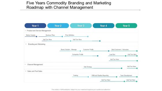 Five Years Commodity Branding And Marketing Roadmap With Channel Management Download