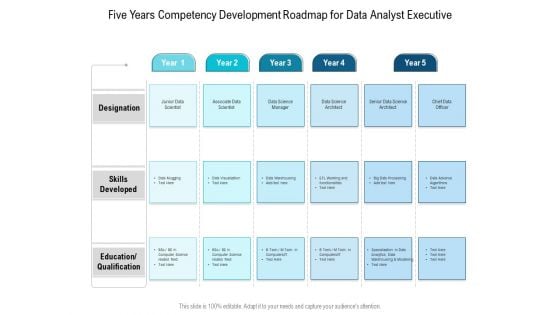 Five Years Competency Development Roadmap For Data Analyst Executive Demonstration