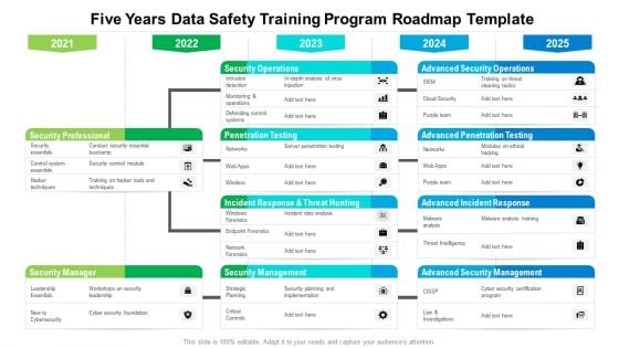 Five Years Data Safety Training Program Roadmap Template Professional