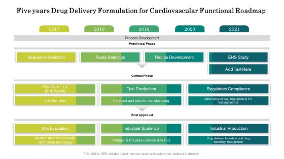 Five Years Drug Delivery Formulation For Cardiovascular Functional Roadmap Pictures