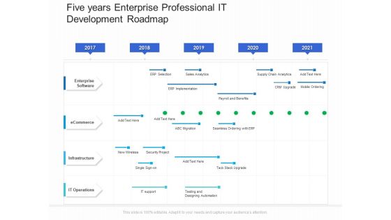 Five Years Enterprise Professional IT Development Roadmap Professional