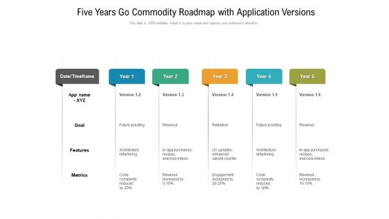 Five Years Go Commodity Roadmap With Application Versions Infographics