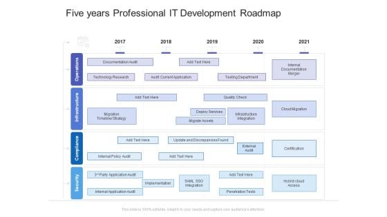 Five Years Professional IT Development Roadmap Graphics