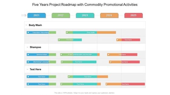 Five Years Project Roadmap With Commodity Promotional Activities Infographics