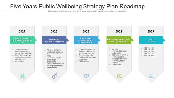 Five Years Public Wellbeing Strategy Plan Roadmap Summary