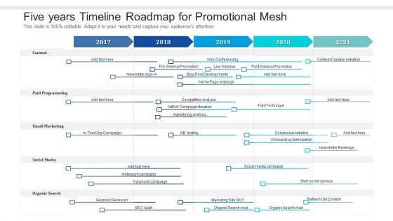 Five Years Timeline Roadmap For Promotional Mesh Guidelines