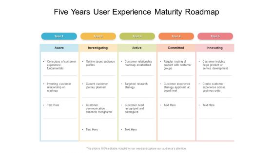 Five Years User Experience Maturity Roadmap Diagrams Five Years User Experience Maturity Roadmap Diagrams