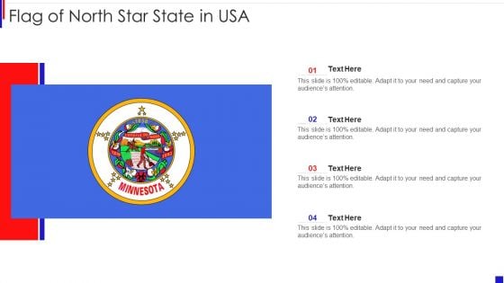 Flag Of North Star State In USA Sample PDF