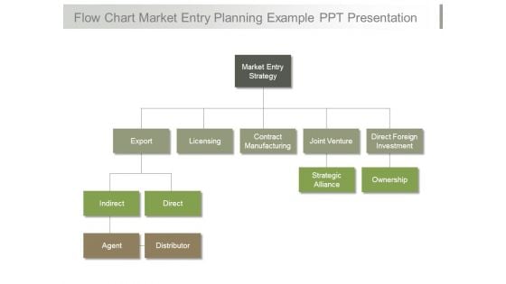 Flow Chart Market Entry Planning Example Ppt Presentation