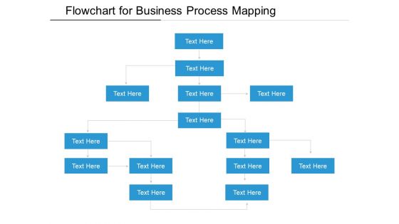 Flowchart For Business Process Mapping Ppt PowerPoint Presentation Gallery Layout PDF