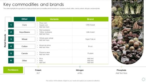 Food And Agro Company Outline Key Commodities And Brands Ppt Summary Layout Ideas PDF