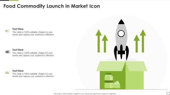 Food Commodity Launch In Market Icon Sample PDF