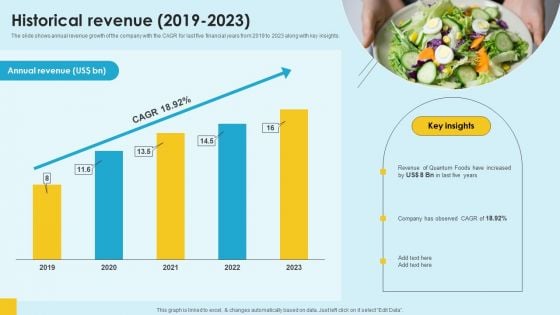 Food Company Financial Performance Summary Historical Revenue 2019 2023 Background PDF