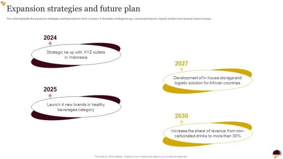 Food Company Overview Expansion Strategies And Future Plan Microsoft PDF