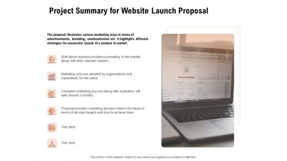 For Launching Company Site Project Summary For Website Launch Proposal Rules PDF