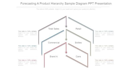 Forecasting A Product Hierarchy Sample Diagram Ppt Presentation