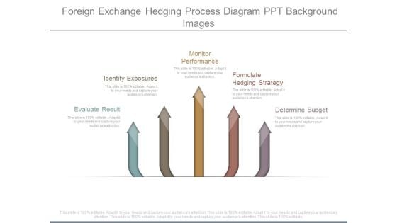 Foreign Exchange Hedging Process Diagram Ppt Background Images Foreign Exchange Hedging Process Diagram Ppt Background Images
