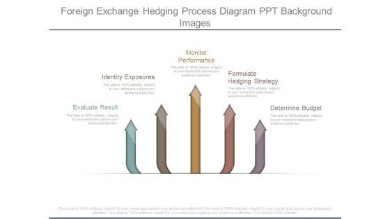 Foreign Exchange Hedging Process Diagram Ppt Background Images