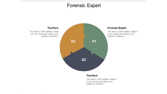 Forensic Expert Ppt Powerpoint Presentation Styles Graphics Example Cpb