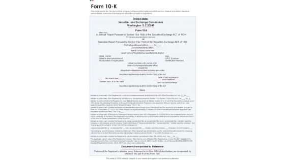 Form 10 K One Pager Documents