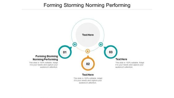 Forming Storming Norming Performing Ppt PowerPoint Presentation Pictures Microsoft Cpb