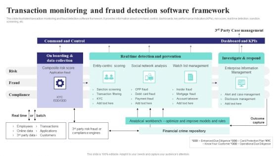 Formulating Money Laundering Transaction Monitoring And Fraud Detection Software Professional PDF