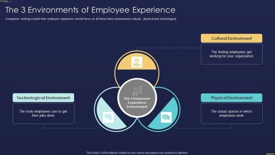 Formulating Workforce Experience Plan Company The 3 Environments Of Employee Experience Icons PDF