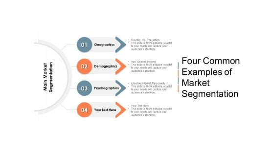 Four Common Examples Of Market Segmentation Ppt PowerPoint Presentation Infographics Templates PDF